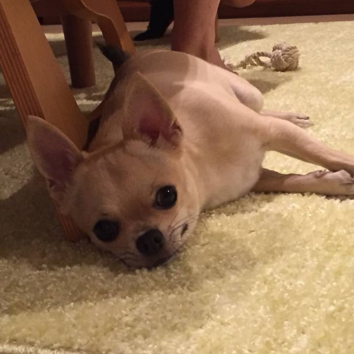 2a1eff6a b3f8 4617 a953 7c8da25e2918