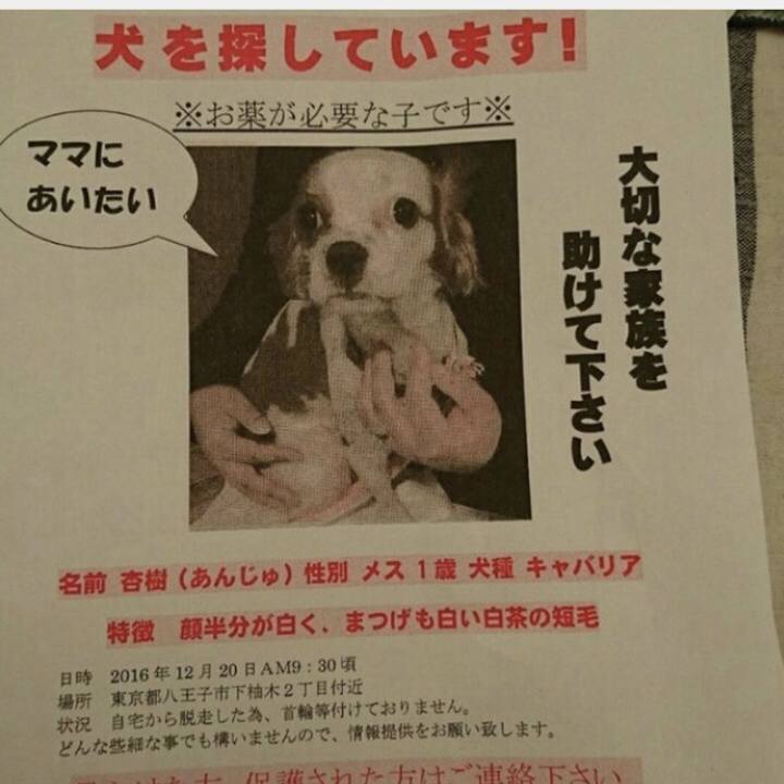 2a1fef83 dd69 4484 ac60 4d78686aab3b