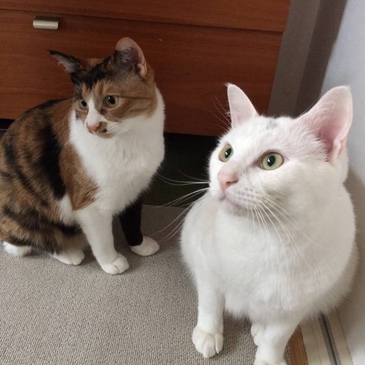 2a200e22 0f25 46c4 a8e6 54d5a645f0d8