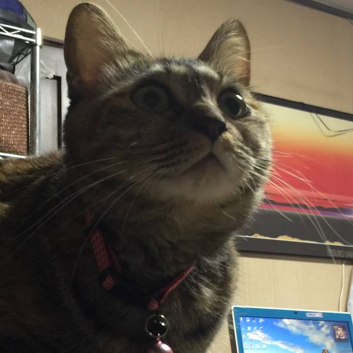 2a20393c 43cc 420a 9704 a40dc5e76882