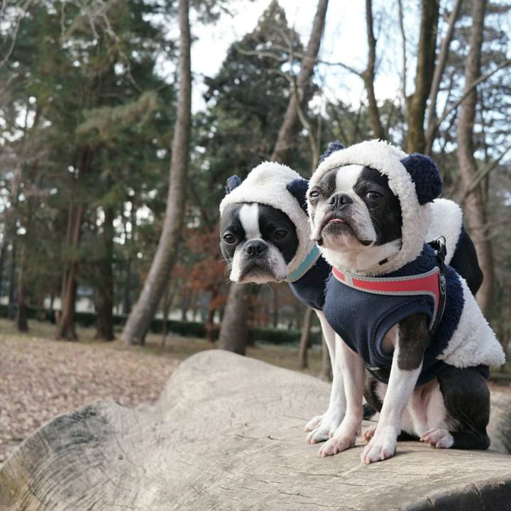 2a204c28 ab6c 43c3 bf94 dd3000e81bd7