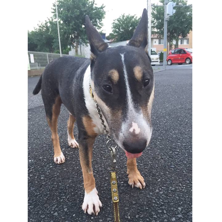 2a205d73 ee33 4094 87f3 0a4bccf5b4cb