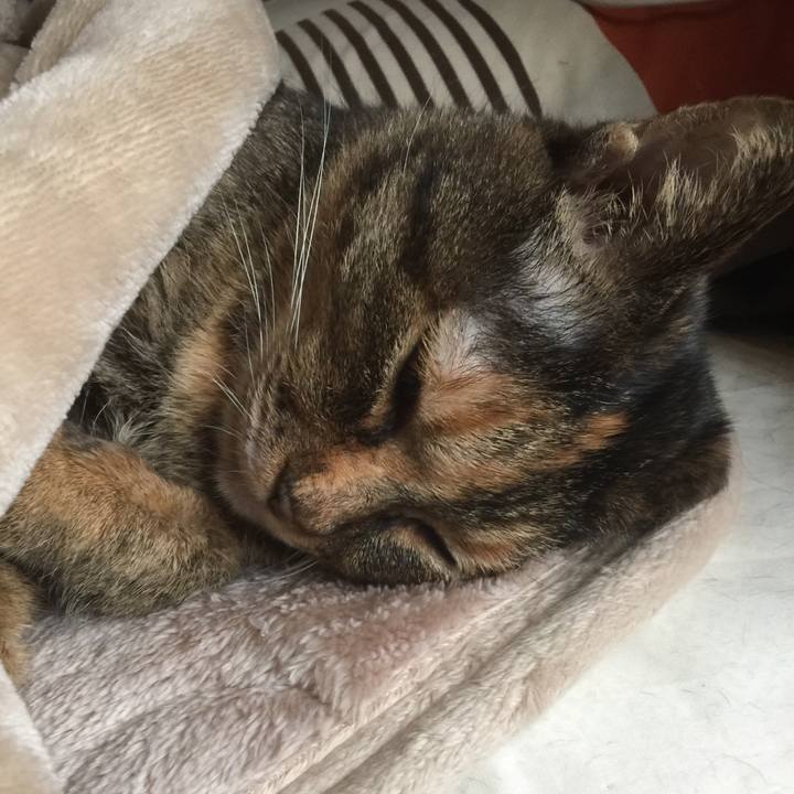 2a20741f 5a2f 49fe a260 6175e284ff21