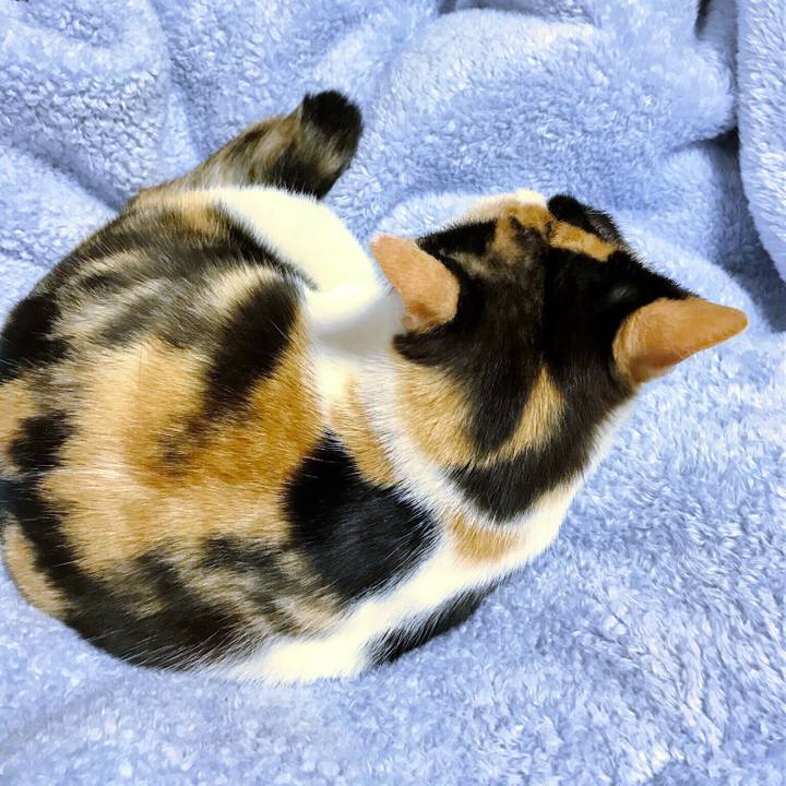 2a2137b4 8aa1 4c34 bcb2 4fdac139313a