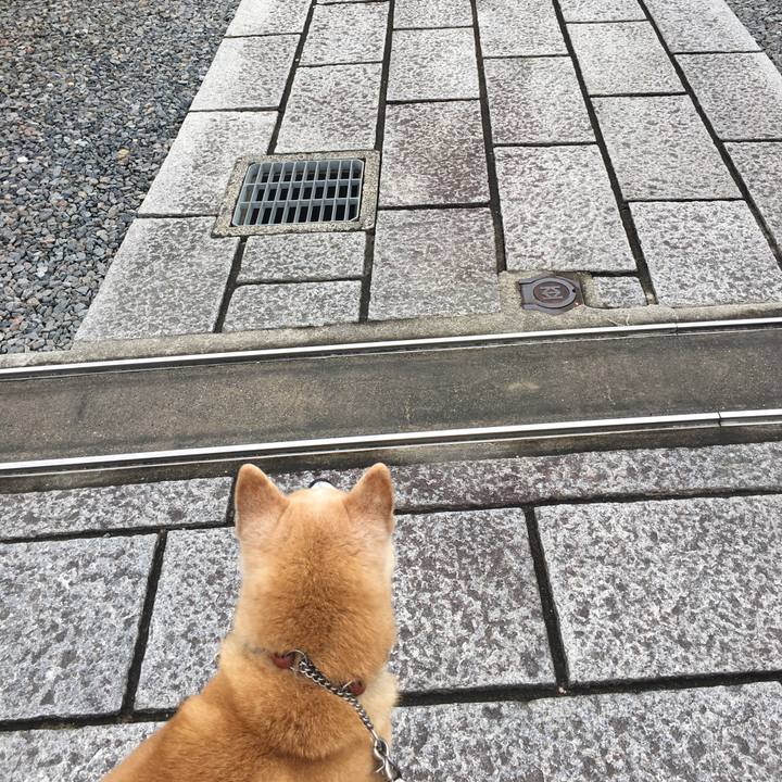 2a215796 0cc1 49a7 ad99 bc0dc45fb8eb