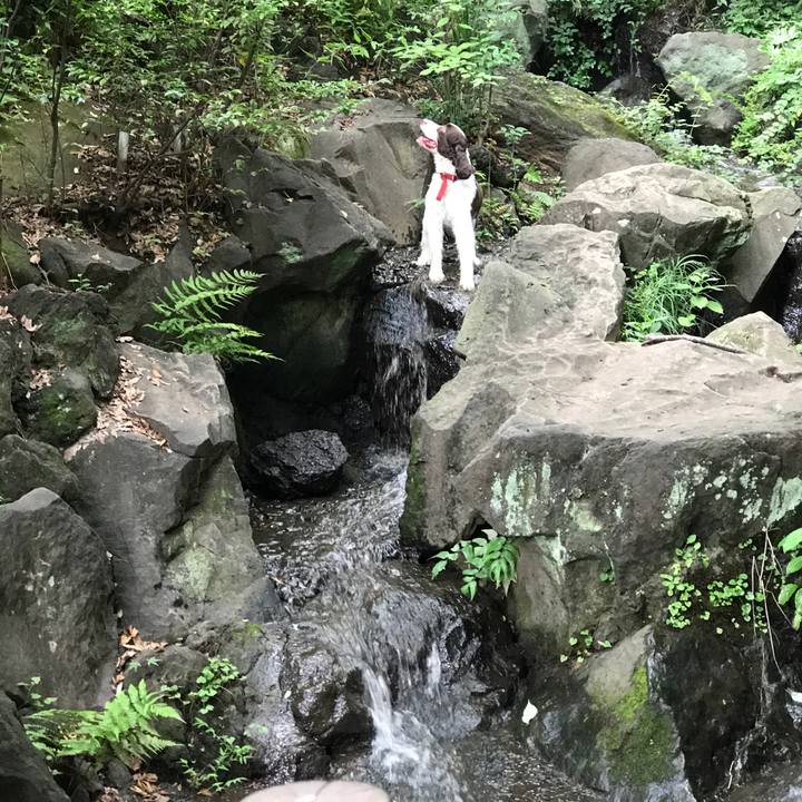 2a220b96 0705 41a7 b6fd 8ab9b5edc847