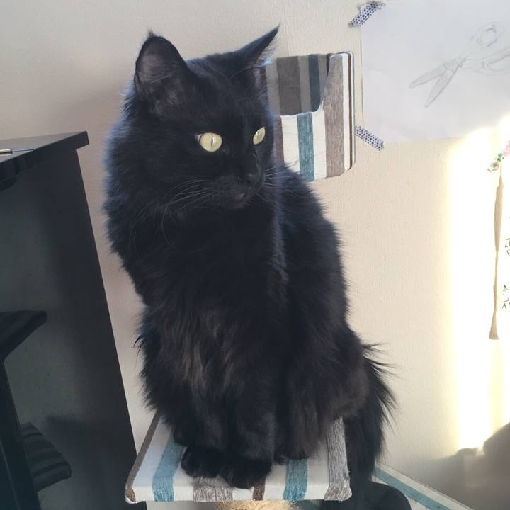 2a229136 0a4f 46fa 89f5 4e0d2d8de534