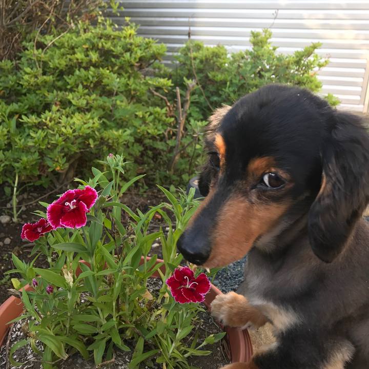 2a22d483 0f43 4964 aa10 df1de7160540