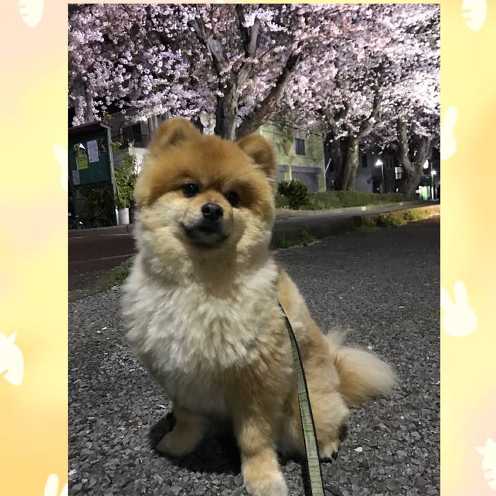 2a22fd5a 7c81 408f b495 f5f87a81192b