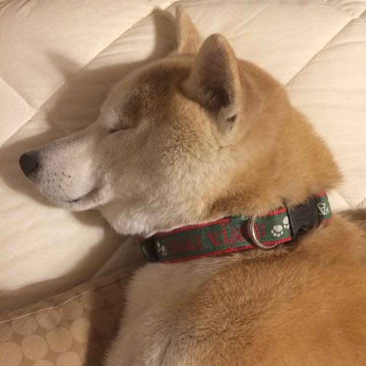 2a2377fa 0e95 4718 a9e6 bba9095323e5