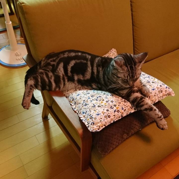 2a23c620 7add 44f3 bcb4 4d1fc431e58f