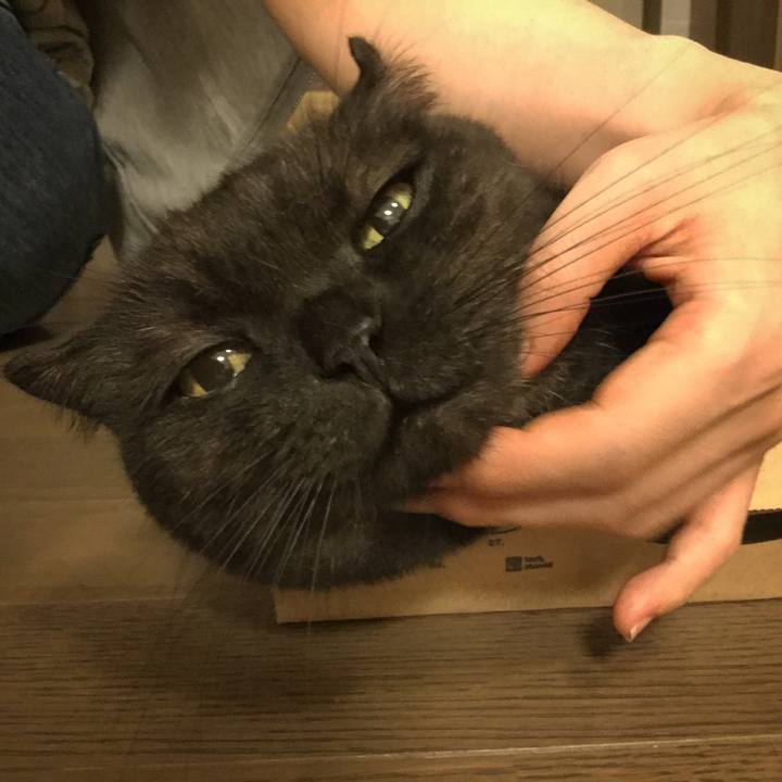 2a248d7b f50d 4746 9c5d 47502adf0edc