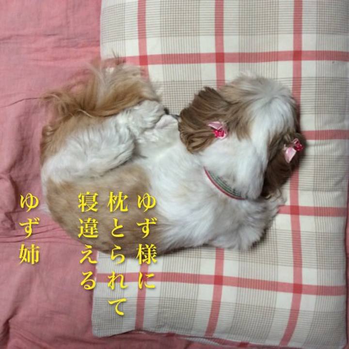 2a24cdef 7bc9 4157 9ff1 256ff2fa2939