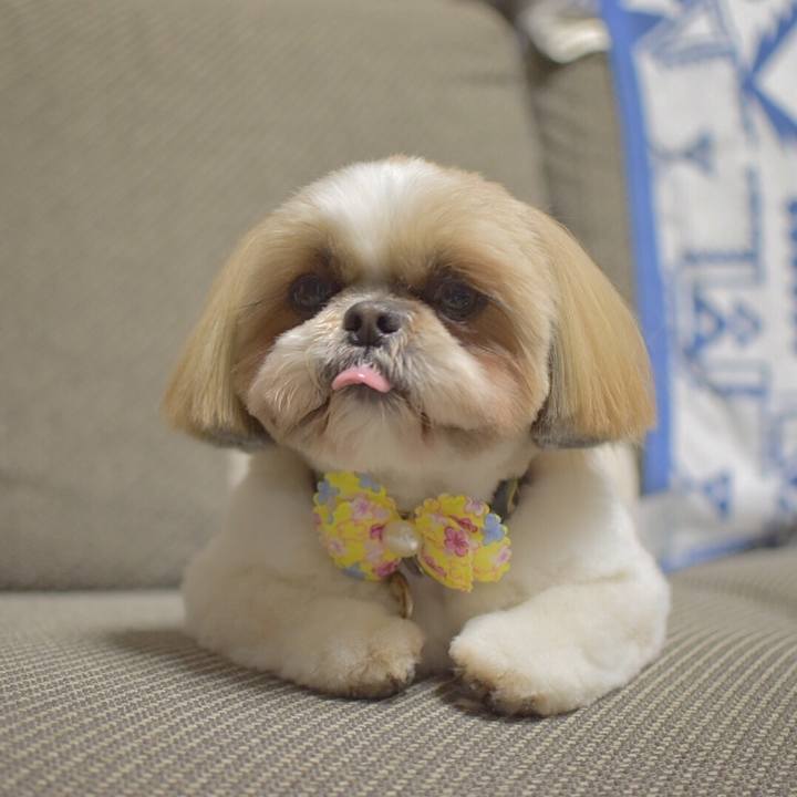 2a25003f 2825 476a 942c 63557a99be0b