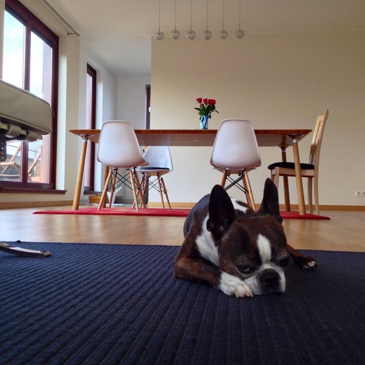 2a251f60 e12e 4217 9932 556f17246885