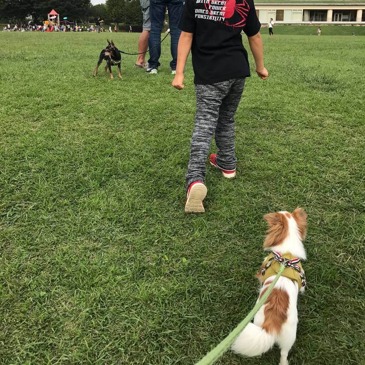 2a255379 dad7 4f9f bed0 a2dc5b5910ad