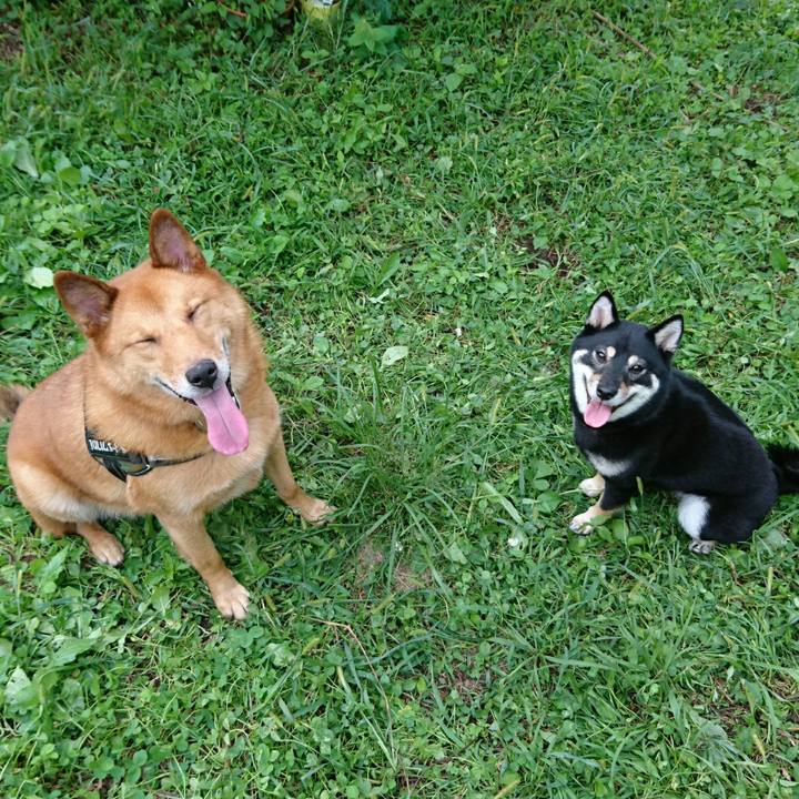 2a255420 42c1 44a6 b8a1 bf2e70996938