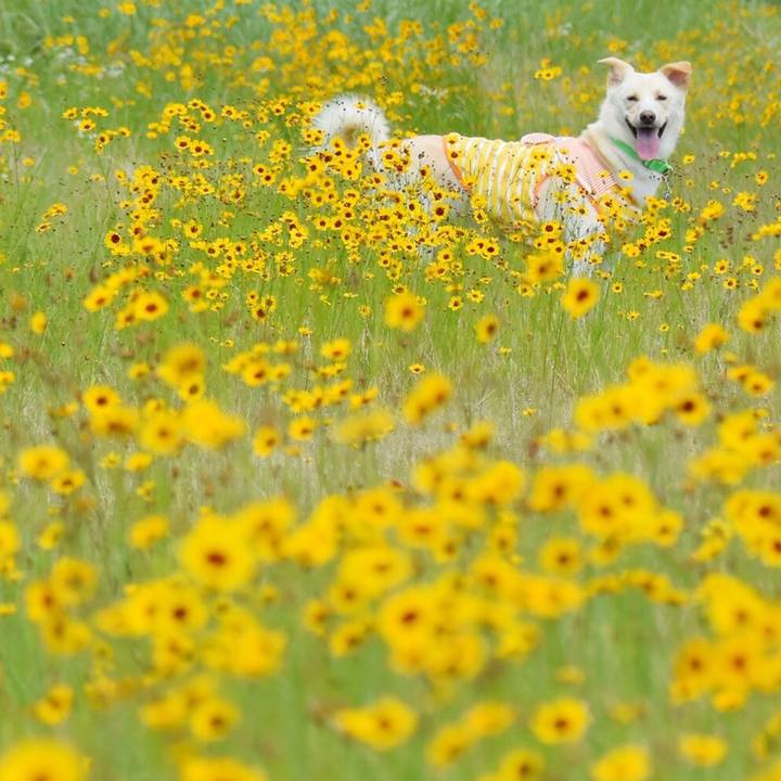 2a25cd0e a0fe 456f 8883 f9f36c8e8645