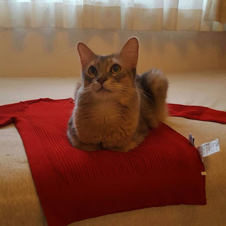 2a25f8d1 dc46 47aa b8aa 7269e11e4750