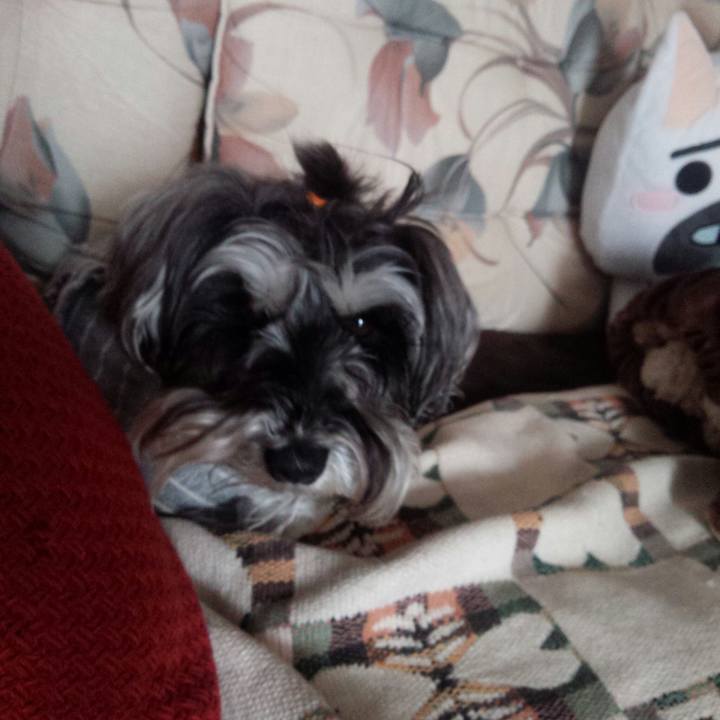 2a25ff78 6355 491c a39c c0de8f8cbb96