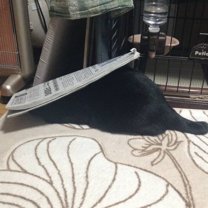 2a261c32 30ac 459a 968d 4a5c88260648