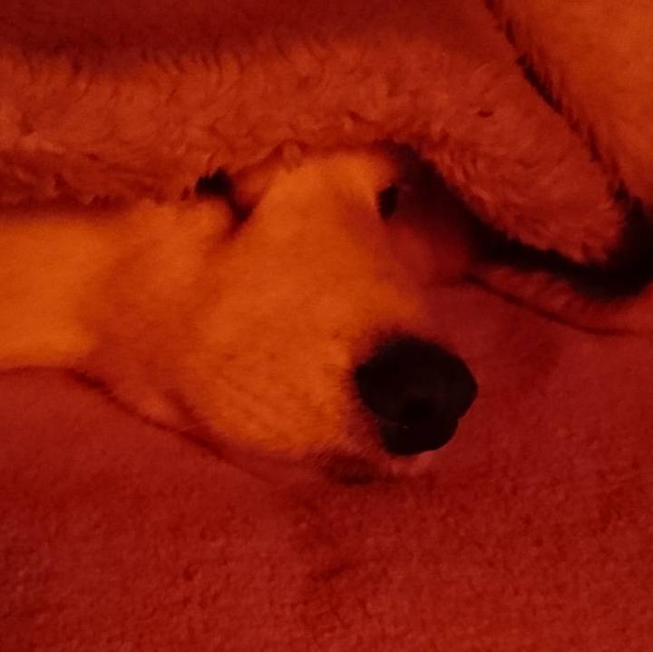 2a26999c 81be 453b 9fb5 21fe908a97b6