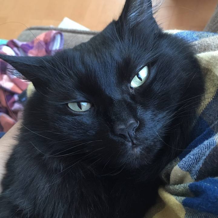 2a269d0d 434e 4784 b0f2 5360e419353b