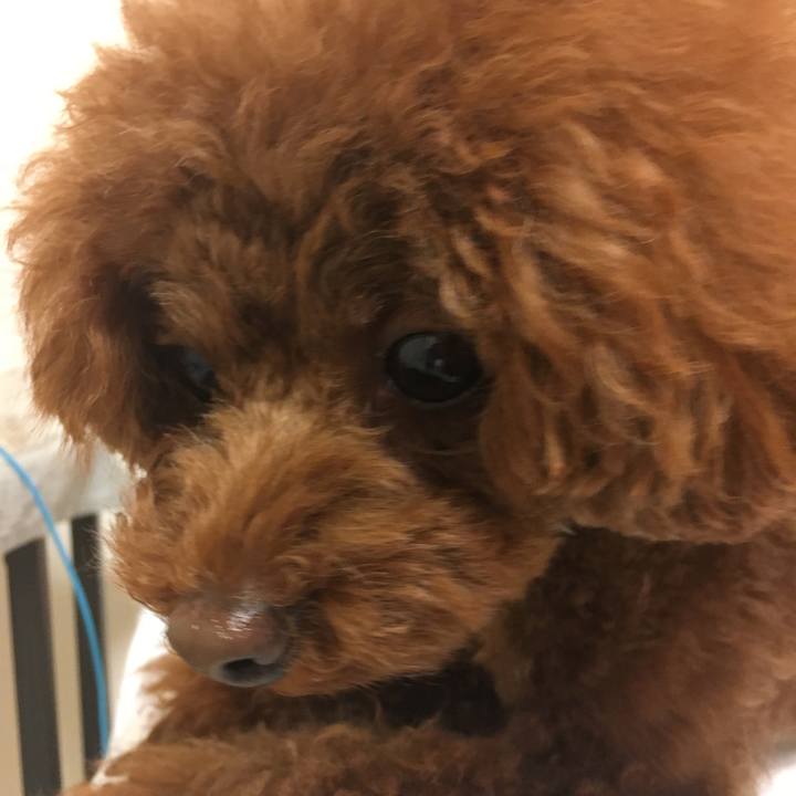 2a2733c7 c6ec 45f0 abf1 f1bed3ef311e