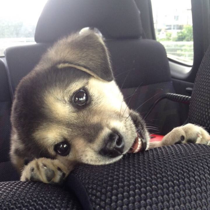 2a27e7cc 0ea3 4d98 b2c5 c1b45dcd9954