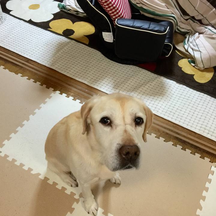 2a283703 2c8d 419a 886c 7f7cca80f9b8