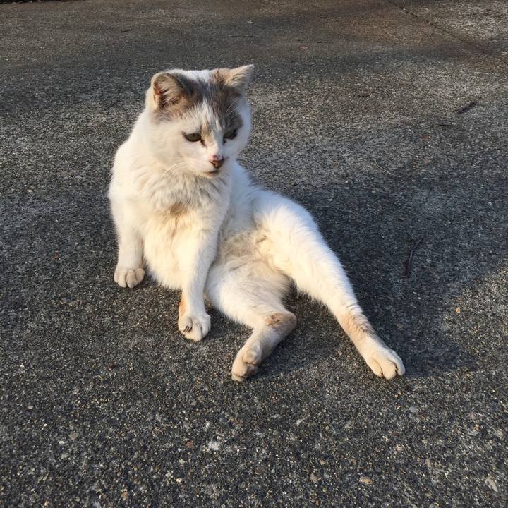 2a284966 aa27 465c 8d5f c2fd3936742a