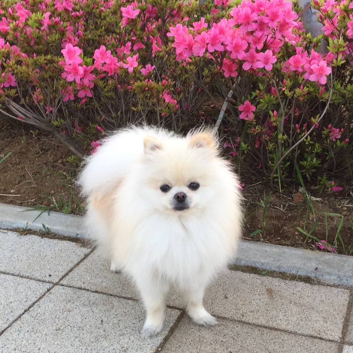 2a287ed0 eaf7 46a6 ae89 e97ca0b7c535