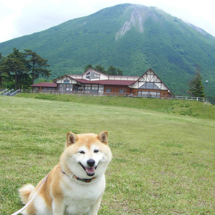 2a28cd71 496d 4a02 8e1b 310ec145c96e