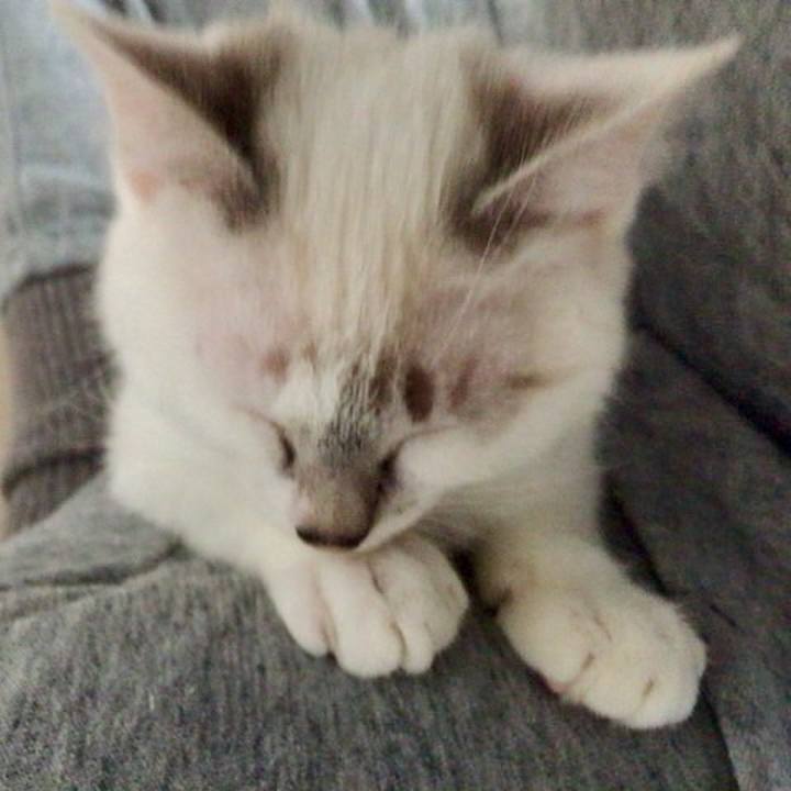 2a292356 d24c 4ddd ba8a 8941d619d3aa