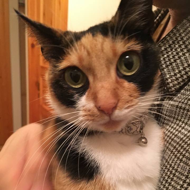 2a29333b f03d 472d b6d3 9b7ff7cca33a