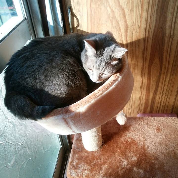 2a294b53 ee70 4eb3 96bd 25909b303805