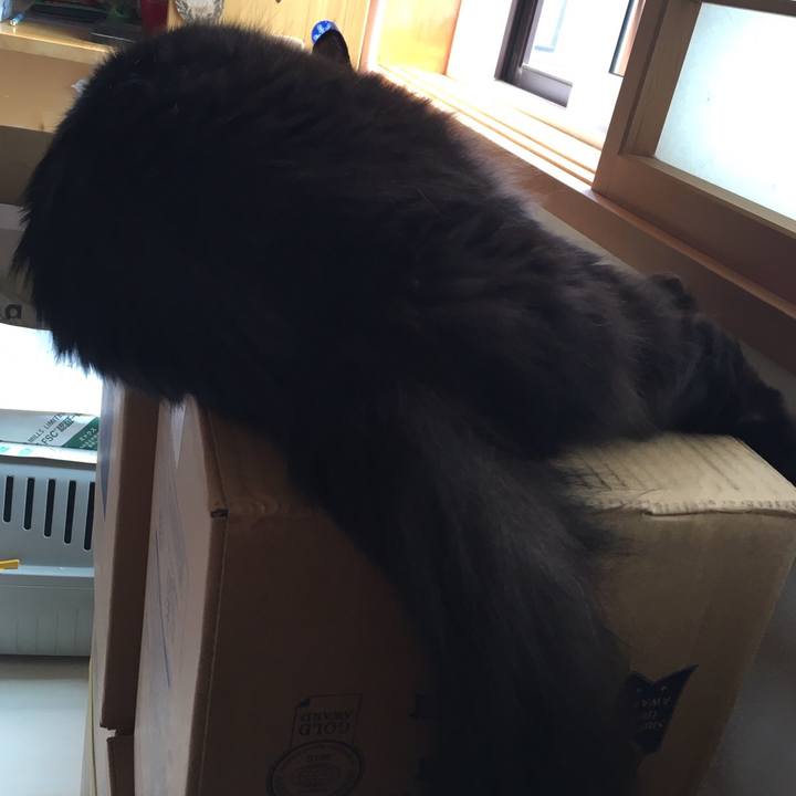 2a2a2be3 8709 41ff 9501 04fc9cf43a1d