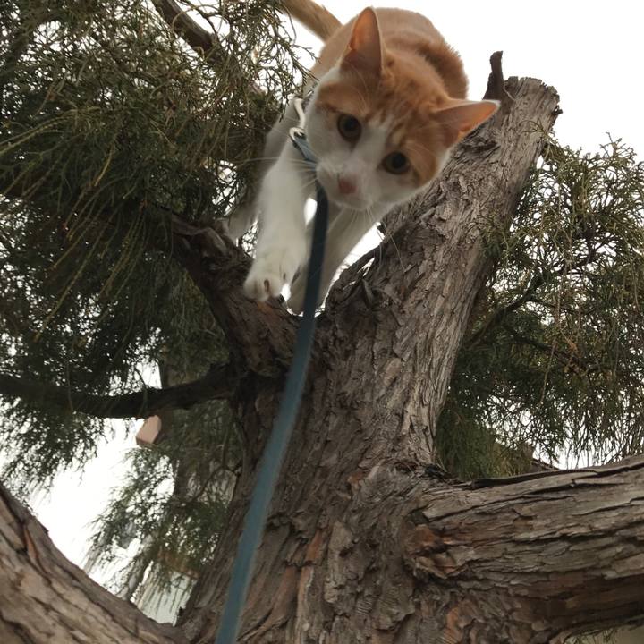 2a2af666 a3c5 40dc b213 af21a0a4c764