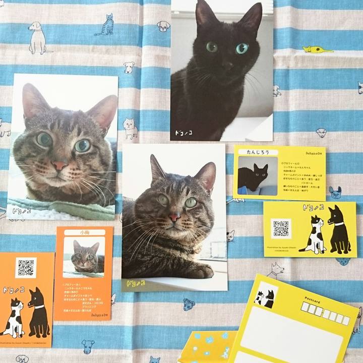 2a2b610f 4c91 436e a318 40e104327d56