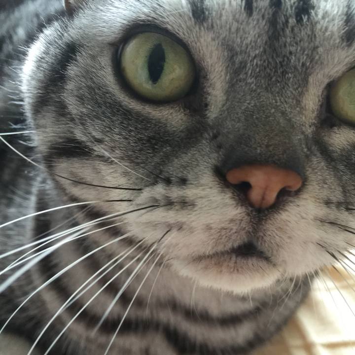 2a2c428c 74e5 40ca 8e1f 49e5b20da598