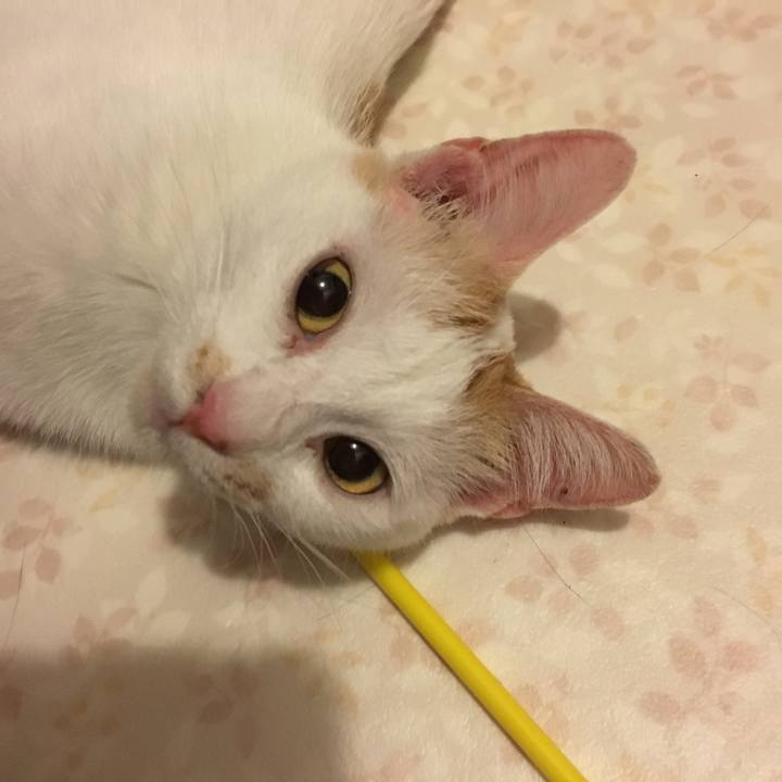 2a2c4772 780f 4eb2 826c cfb580d139c0