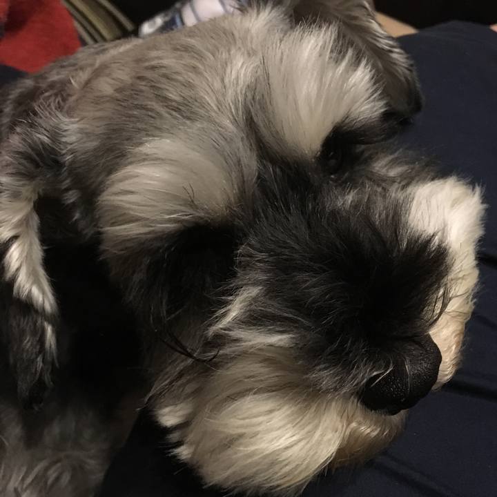 2a2d4068 7841 4a99 919b 6f02b7a62cc6