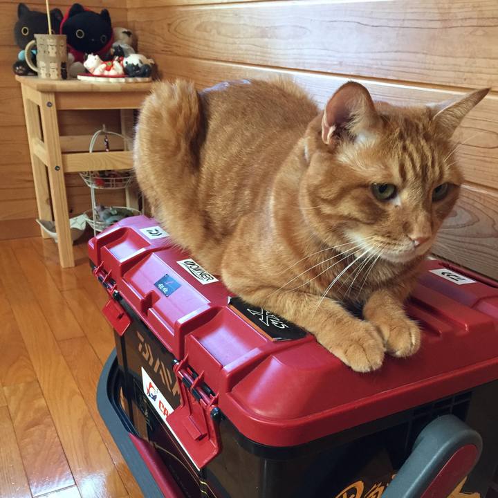 2a2d8de4 a3d4 44c4 bd3f e8d35f9da8f3