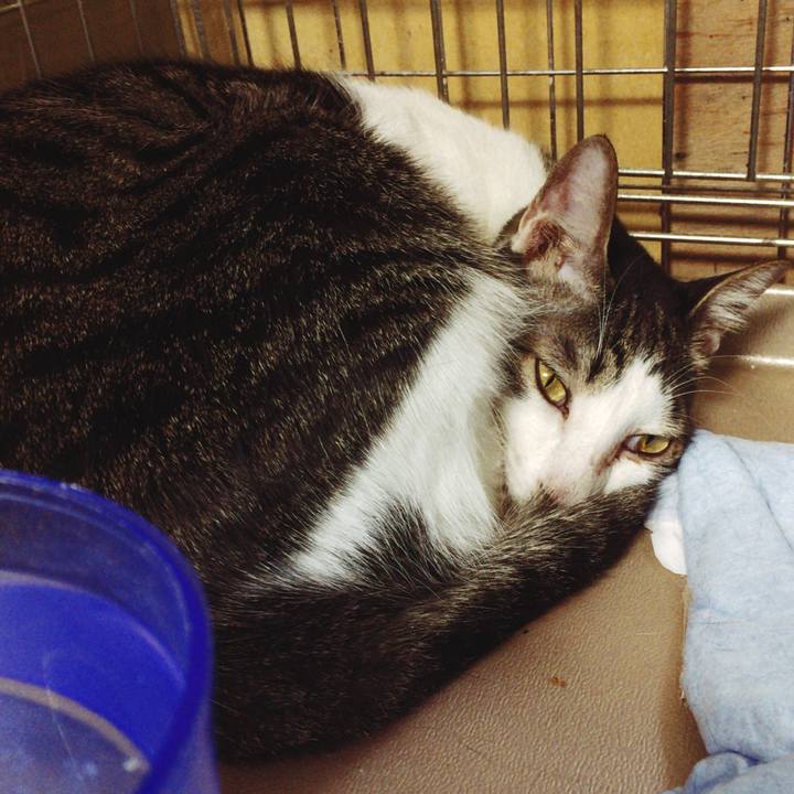 2a2db046 6446 4f6d a937 16668a17d40b