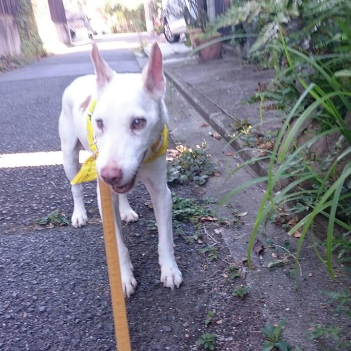 2a2dc7e4 0ca3 402f a83c daefaaa41509