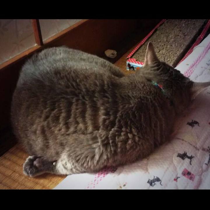 2a2e2a5d 3b2d 4fbf bc86 21df5d3ddf84