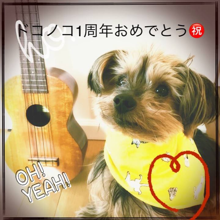 2a2e2ac5 0902 476f 9acc 951fd3697c8a