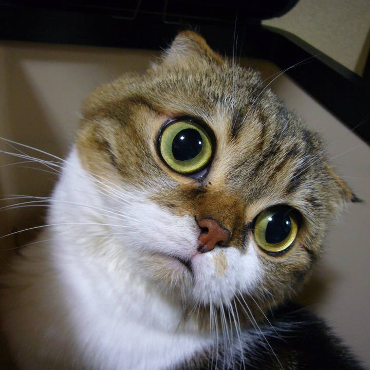 2a2e7627 8150 4f18 b4b3 84cd44809ba3