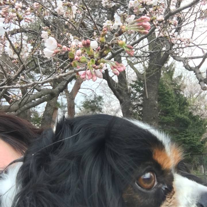 2a2ee0b4 b30a 4cf9 bfeb 3305dd305575