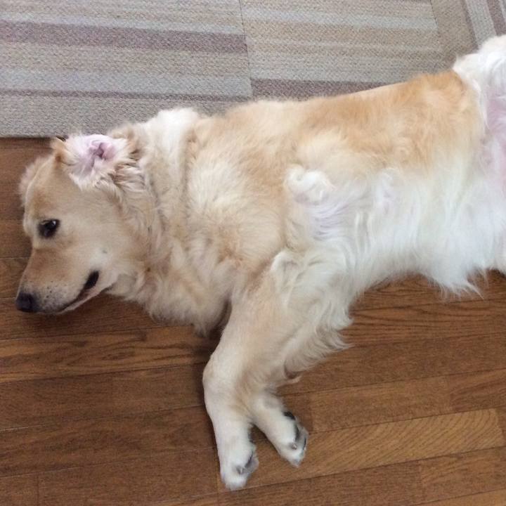 2a2f87a6 f1ff 47cc 9e5c 7b389e81f8b0